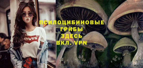 амф Беломорск