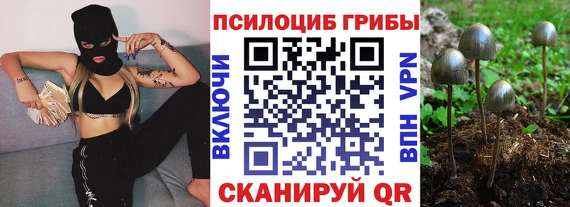 цены   Шимановск  Галлюциногенные грибы прущие грибы 